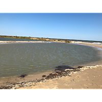 September high tide Gloucester image